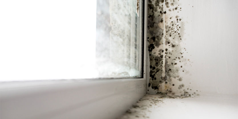 The Effects of Sleeping in a Damp Room