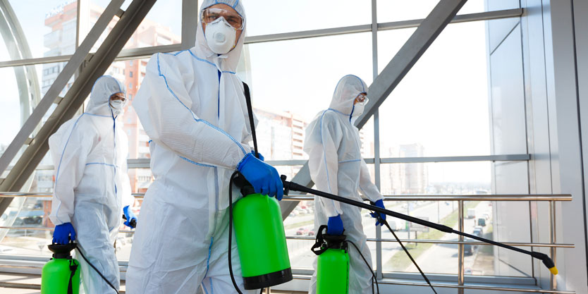 The Stages of Decontamination