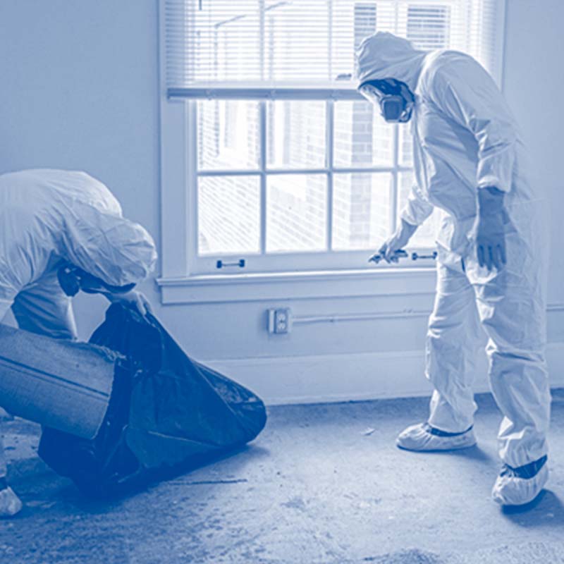 Cleanse Force UK after death and unattended death cleaning service
