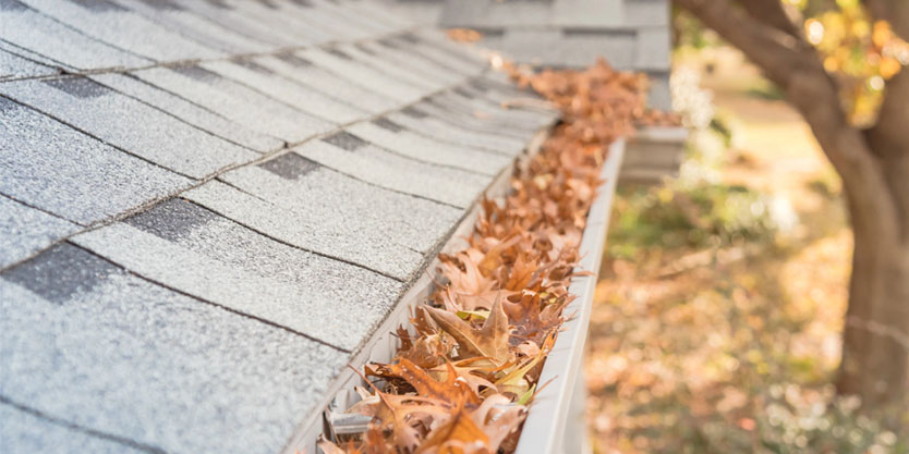 Cleanse Force UK gutter cleaning service